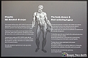 VBS_2536 - Mostra Body Worlds